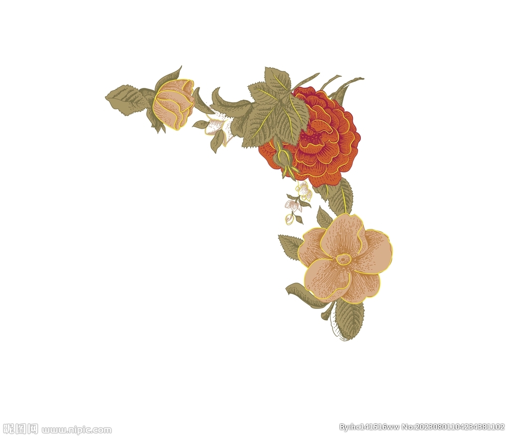 花插画