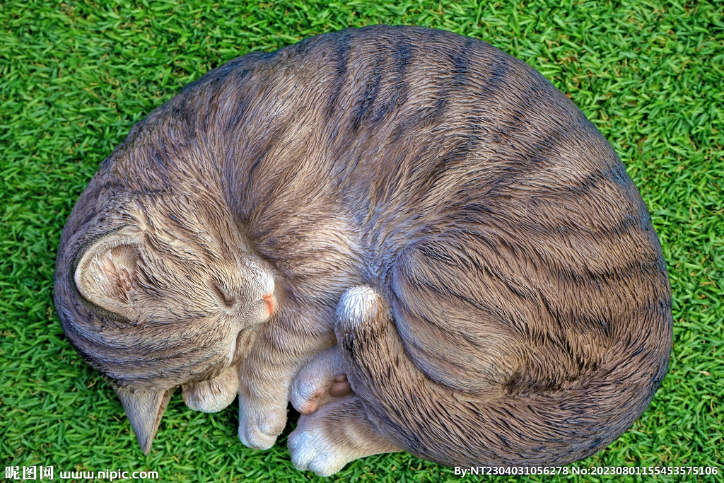 萌猫 