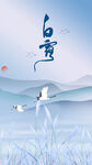 白露海报