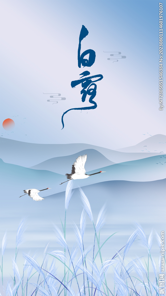 白露海报