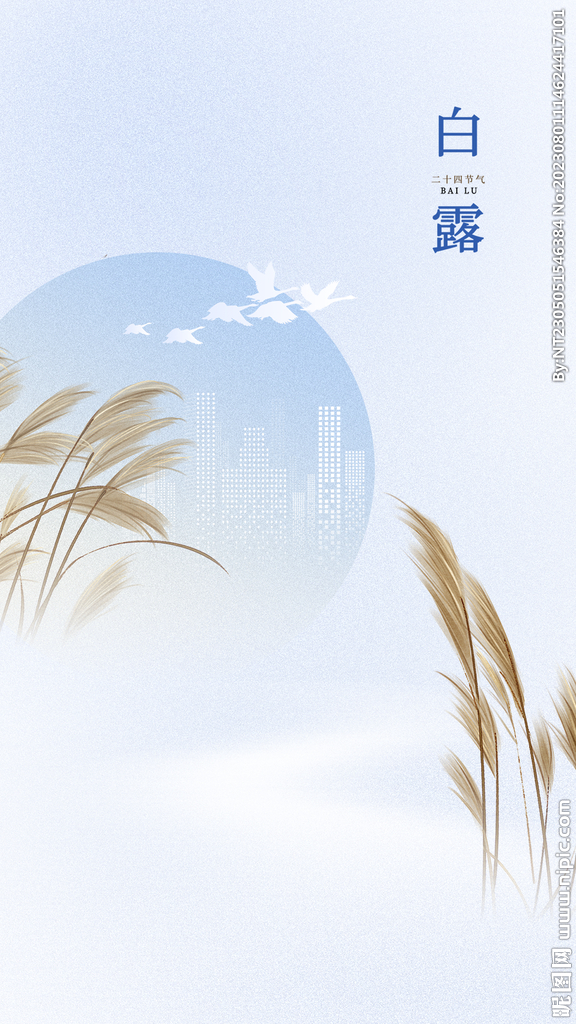 白露
