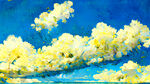 春天，蔚蓝的天空，面朝大海，油菜花开，画面整体温暖
