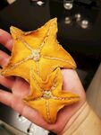 海星