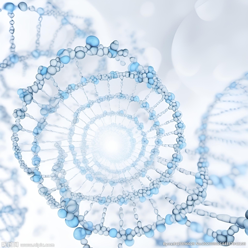 DNA螺旋结构