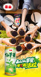 泰山仙草蜜