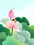  荷花 