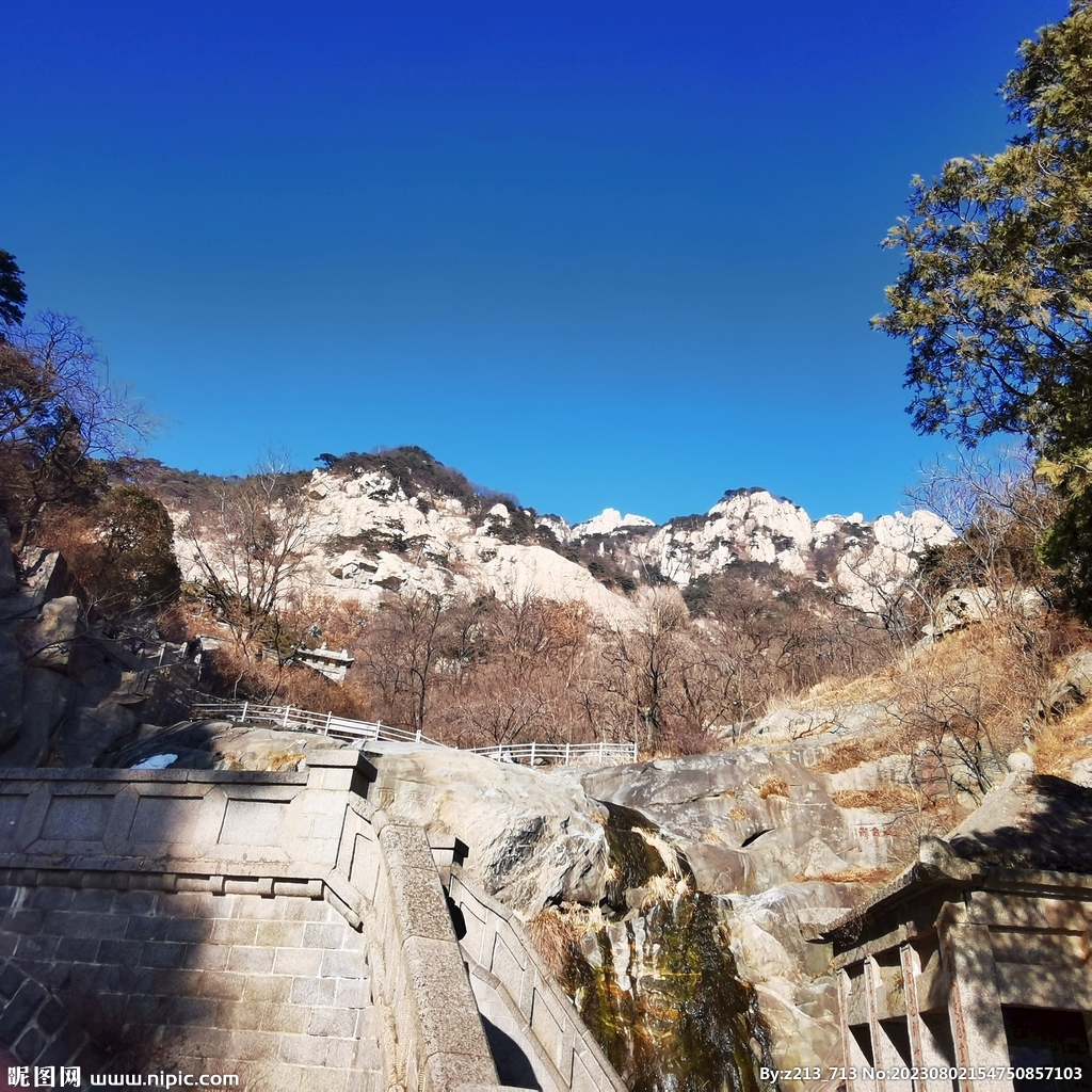 泰山