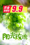 阳光玫瑰