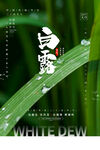 白露 露珠 二十四节气
