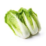 白菜
