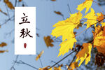 立秋横屏