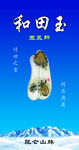 新疆和田玉