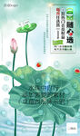 运营商会员随心选DM荷叶版