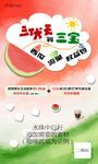会员随心选西瓜版宣传DM