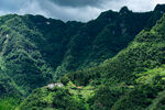 青山