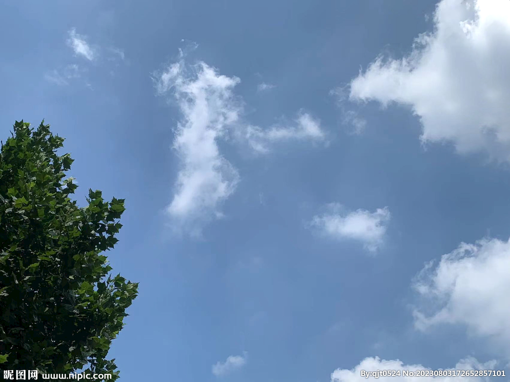  白云