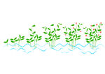 水培植物的生长过程