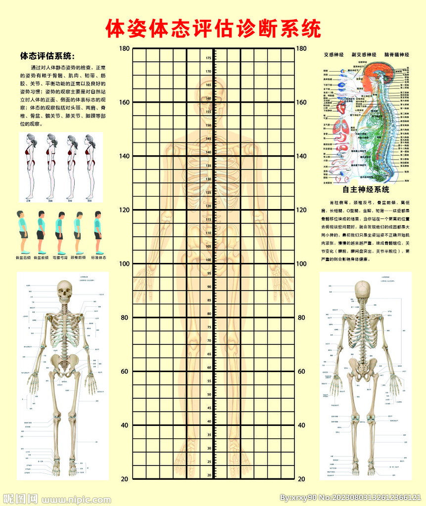 体态评估表