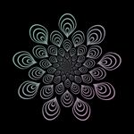 花纹