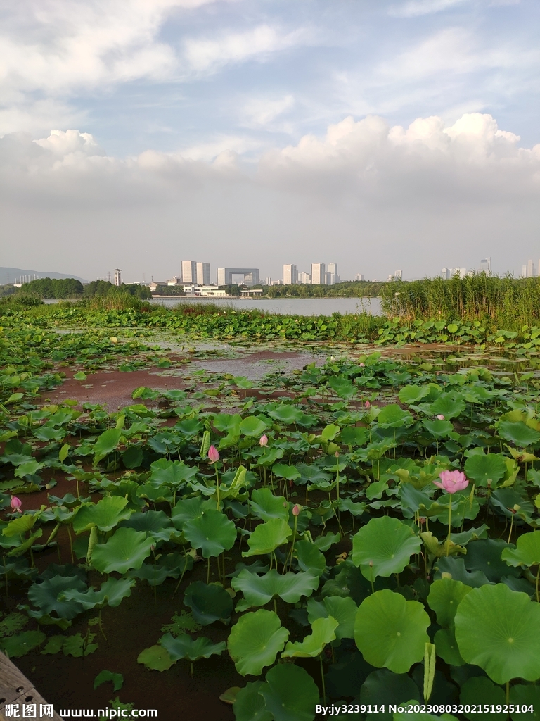 管社山庄