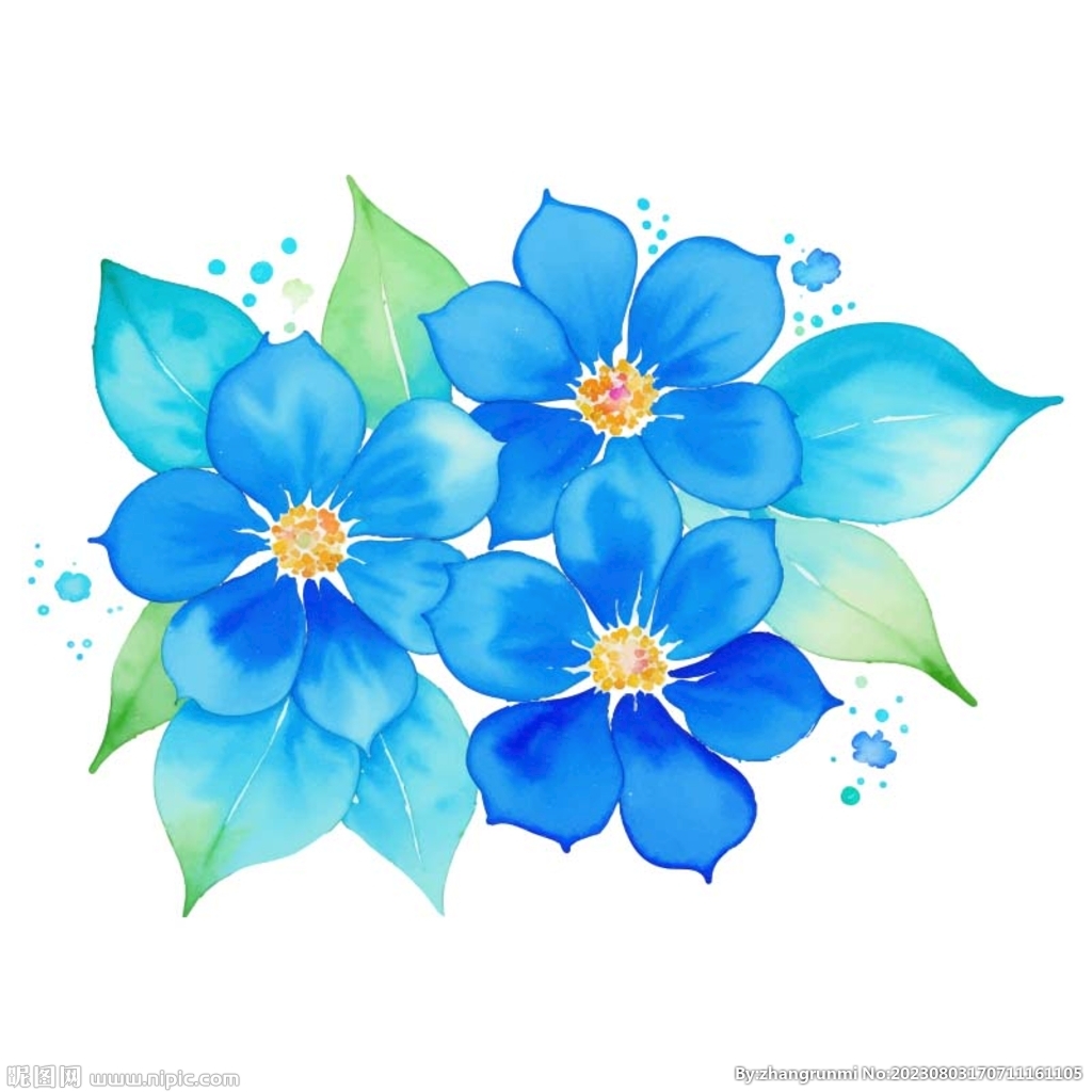 水彩花卉