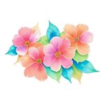 水彩花卉