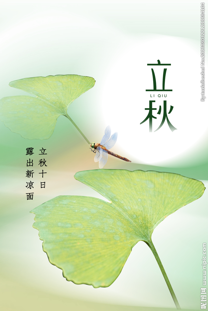 立秋