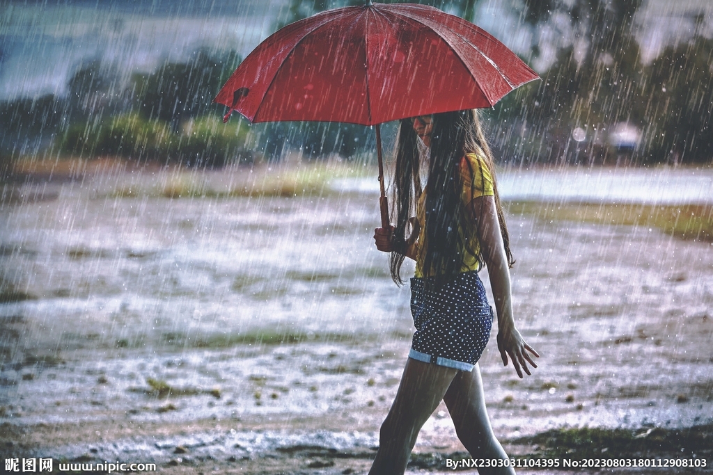雨伞