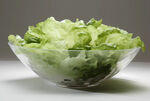 生菜