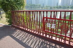 公园河道护栏