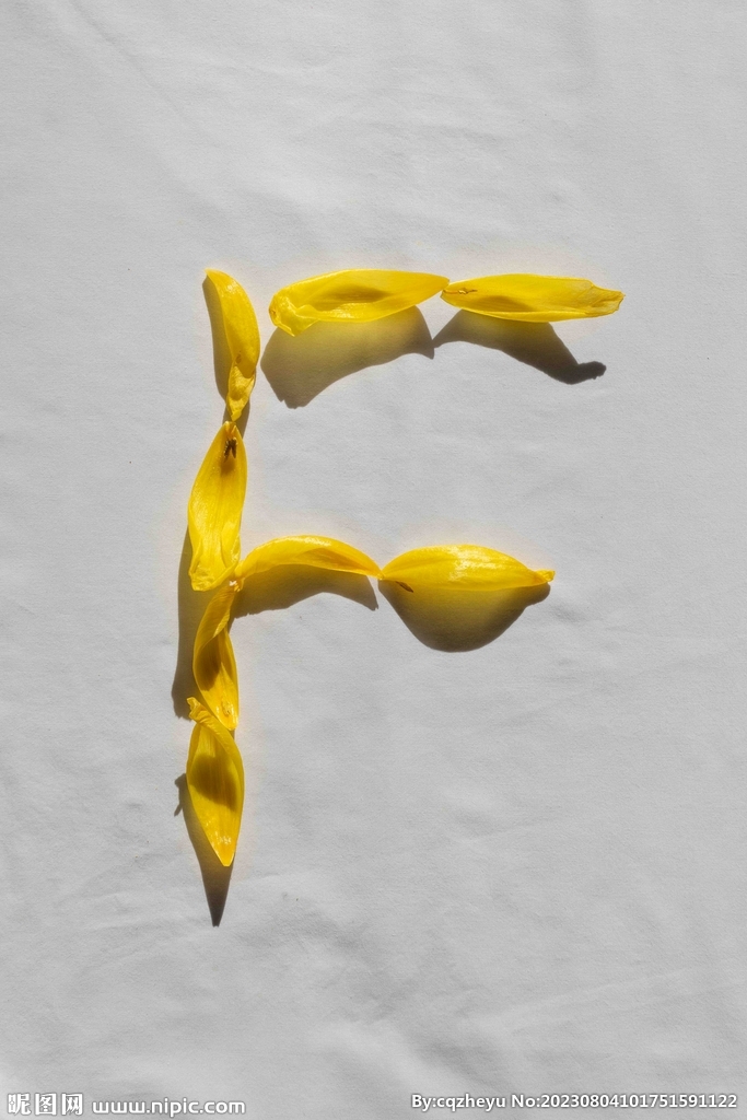 花瓣字母F