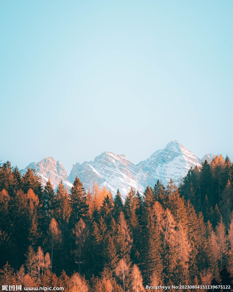 山林 