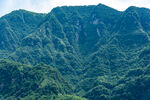 青山