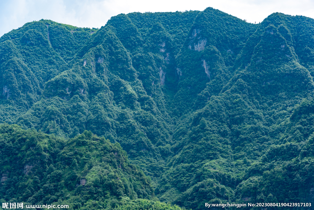 青山