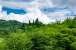 青山