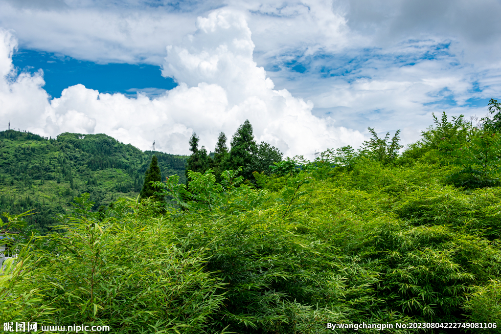 青山