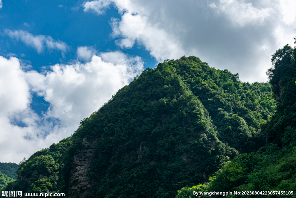 青山