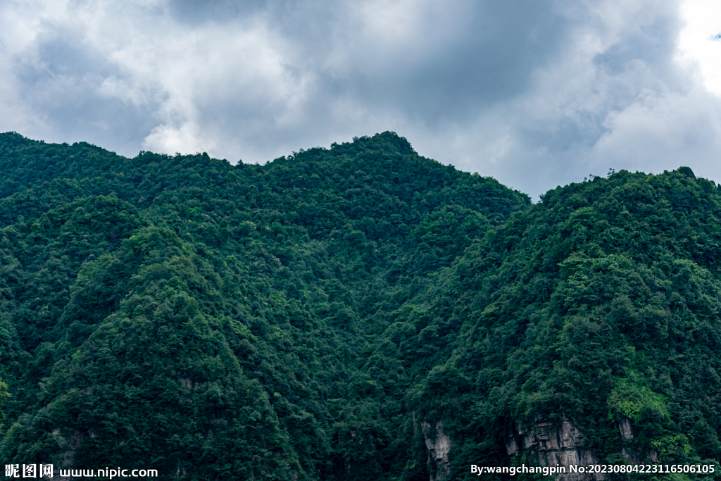 青山