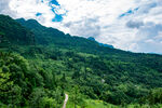 绿色山村
