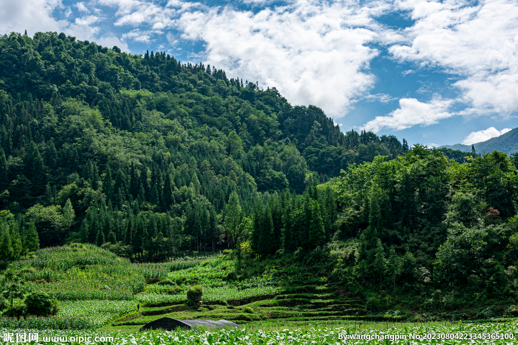 山村风光