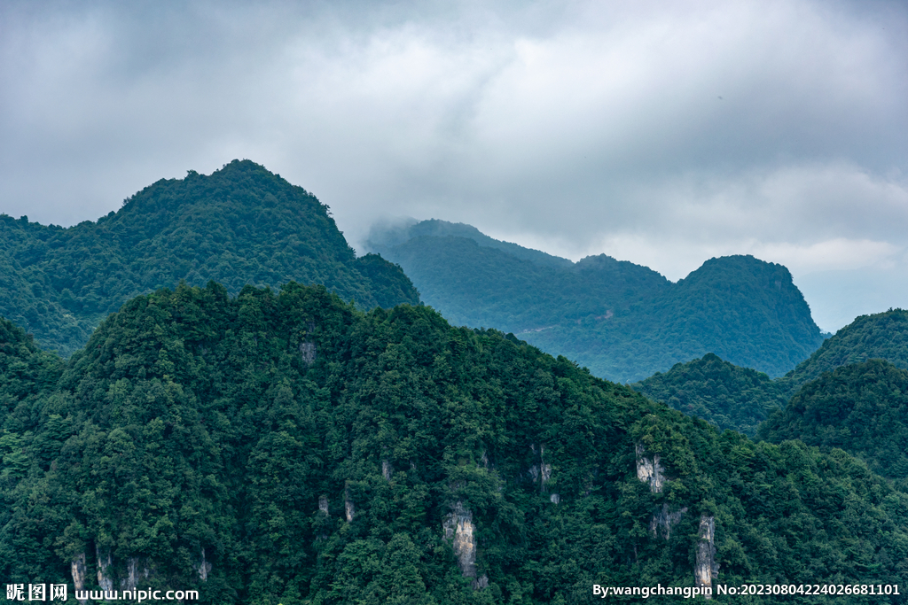 青山