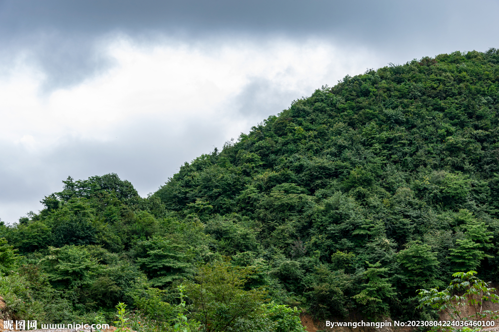 大山