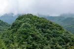 青山