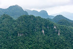 青山