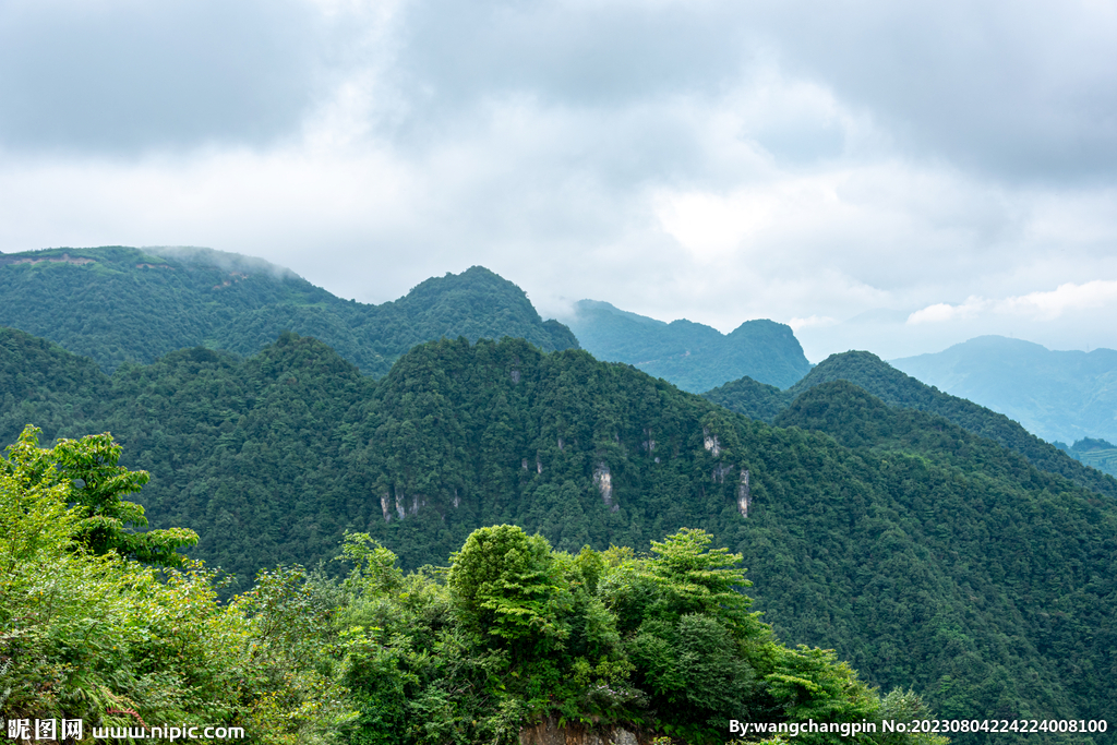 青山