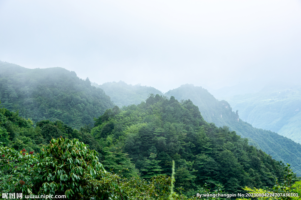 青山