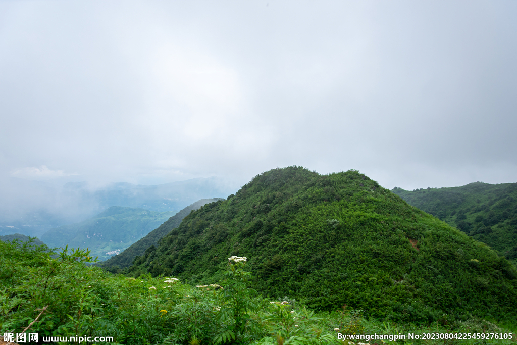 青山