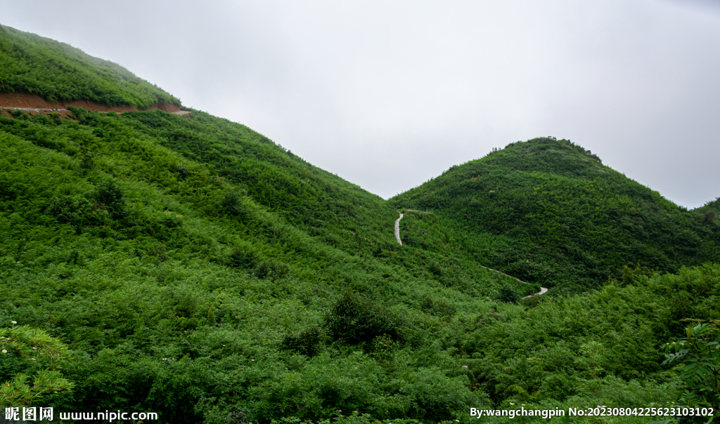 青山