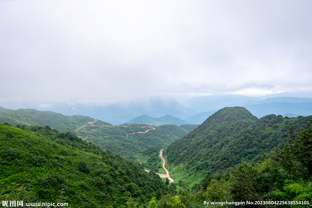 青山