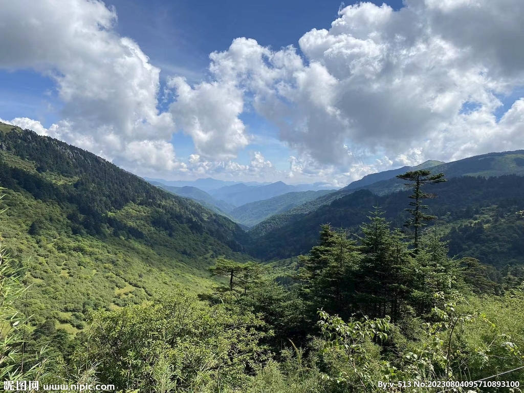 神龙架风景